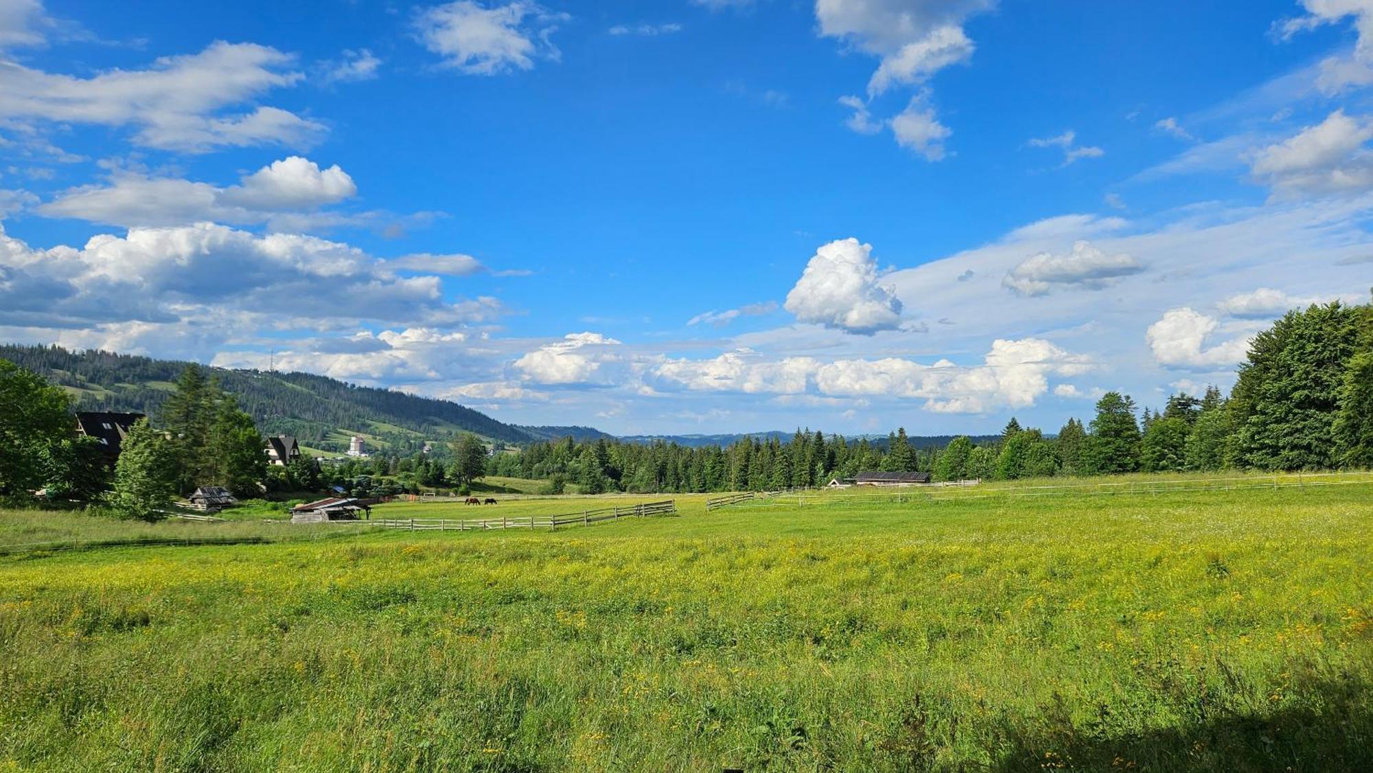 Kalinówka