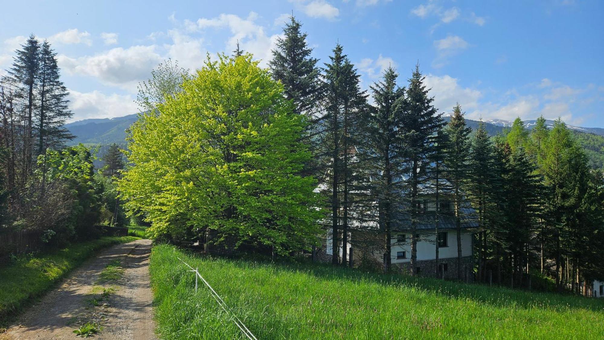 Apartamento Kalinówka *